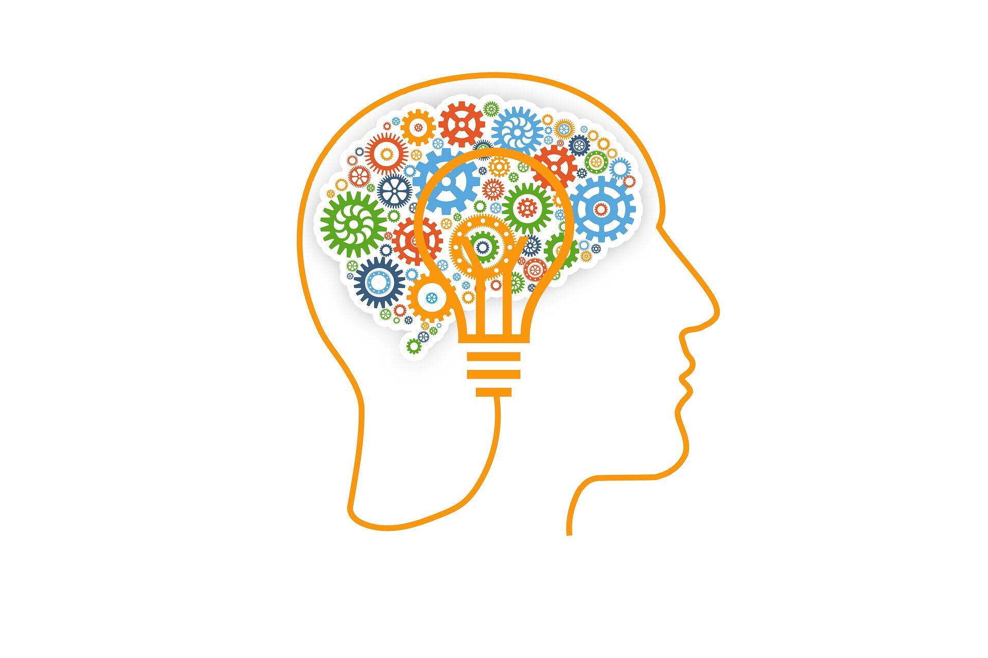 cropped-brain-g930ed91d2_1920.jpg